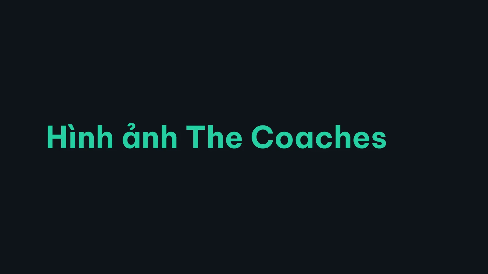 Bản trình bày The Coach, slide 51: Hình ảnh các huấn luyện viên